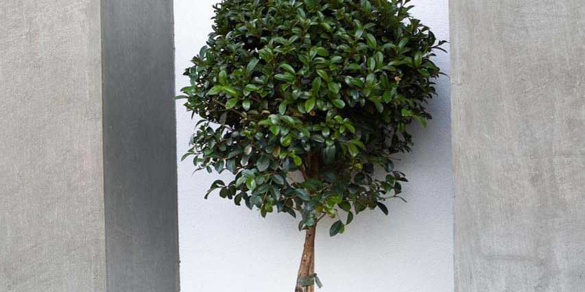 Residential Architectural design and drafting documentation new custom home Perth by DN Studio Pty Ltd